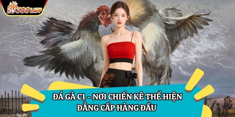Đá Gà C1 – Nơi Chiến Kê Thể Hiện Đẳng Cấp Hàng Đầu 