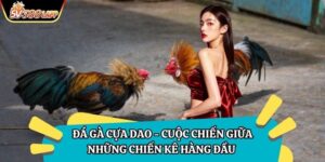 Đá Gà Cựa Dao - Cuộc Chiến Giữa Những Chiến Kê Hàng Đầu