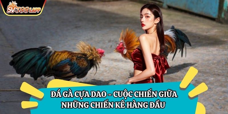 Đá Gà Cựa Dao – Cuộc Chiến Giữa Những Chiến Kê Hàng Đầu