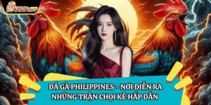 Đá Gà Philippines - Nơi Diễn Ra Những Trận Chọi Kê Hấp Dẫn