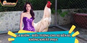 Gà Bướm - Biểu Tượng Cho Sự Bền Bỉ, Không Khuất Phục