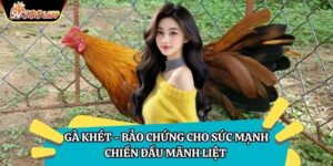 Gà Khét - Bảo Chứng Cho Sức Mạnh Chiến Đấu Mãnh Liệt