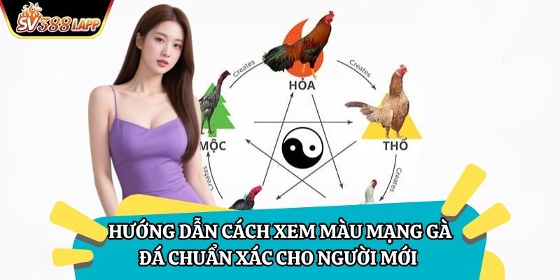 Hướng Dẫn Cách Xem Màu Mạng Gà Đá Chuẩn Xác Cho người Mới 