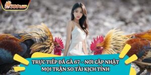 Trực Tiếp Đá Gà 67 - Nơi Cập Nhật Mọi Trận So Tài Kịch Tính