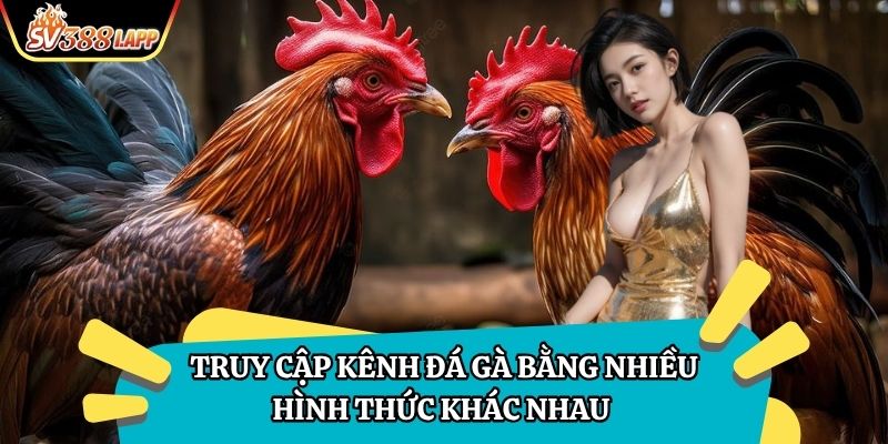 Truy cập kênh đá gà bằng nhiều hình thức khác nhau 